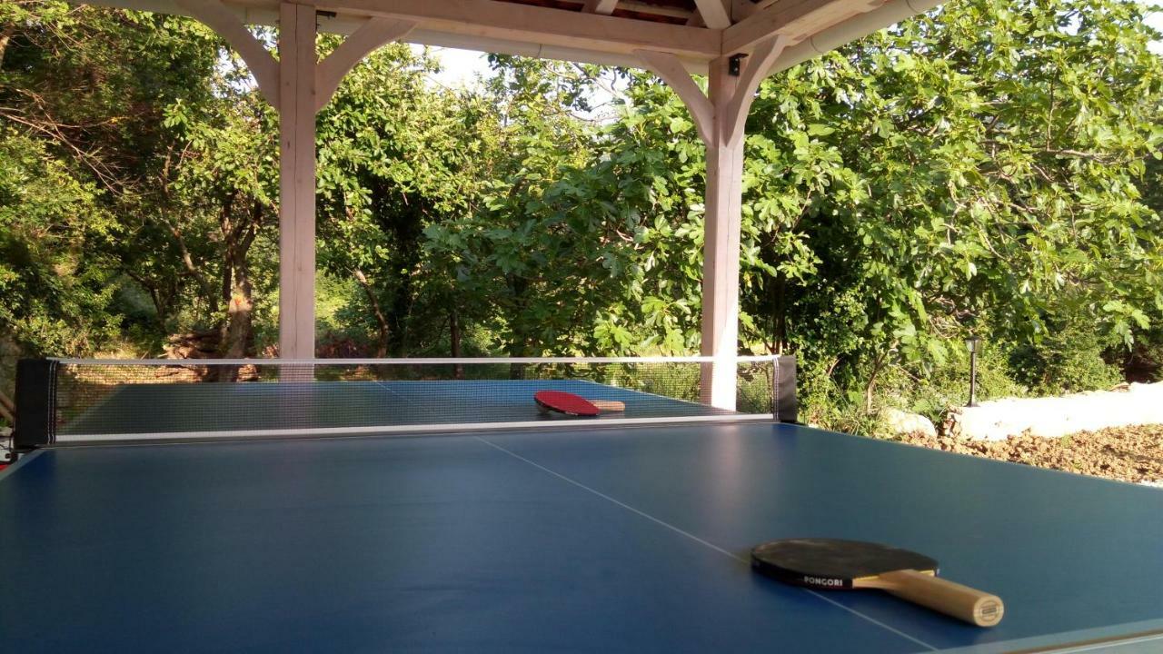 Villa Zrinka **** Svinisce Bagian luar foto